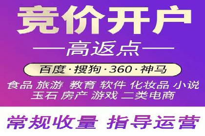 行业领先SEM服务公司案例研究